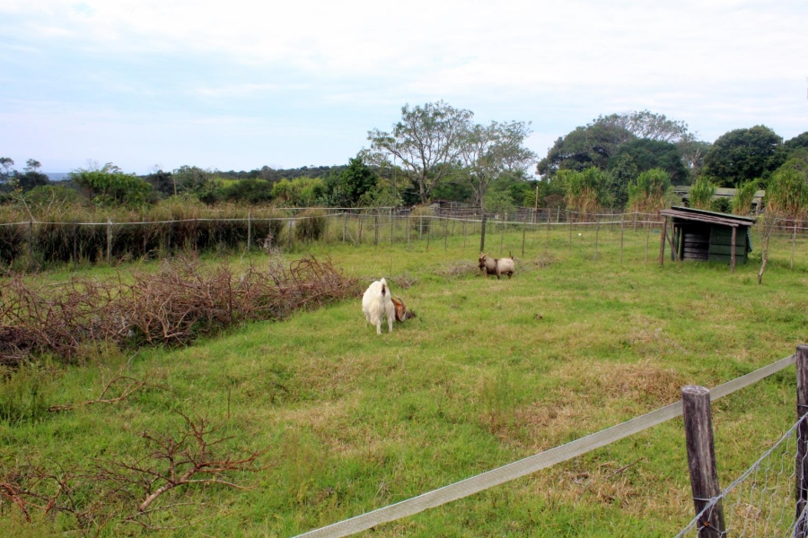 Commercial Property for Sale in Kei Mouth Eastern Cape
